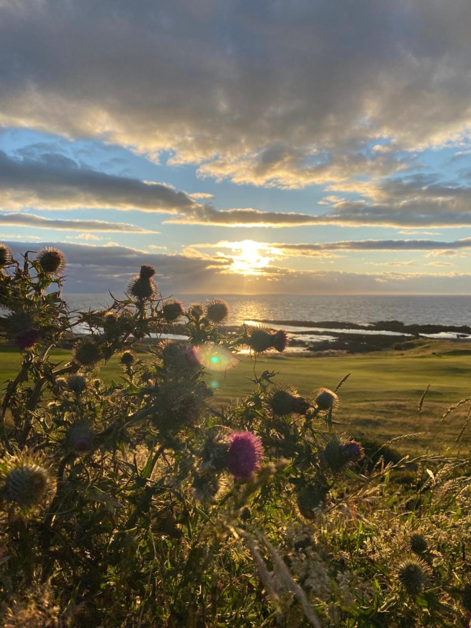 Elsay May Luxury Hot Tub Lodges Exclusively For Couples Over 25Yrs And Dog Friendly Turnberry Exterior photo